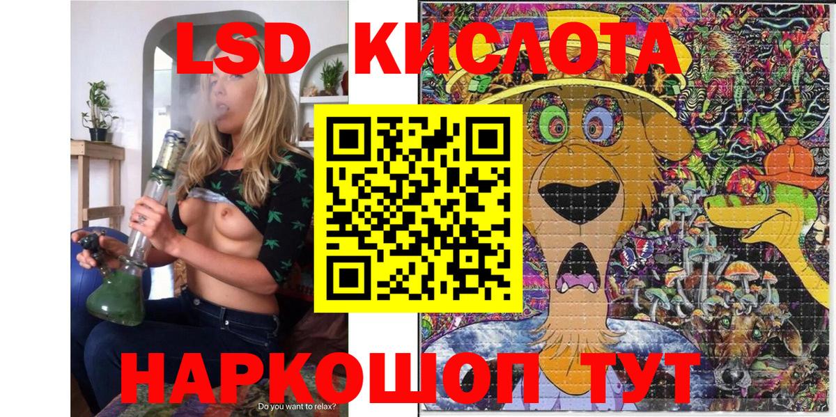 Галлюциногенные грибы Реутов