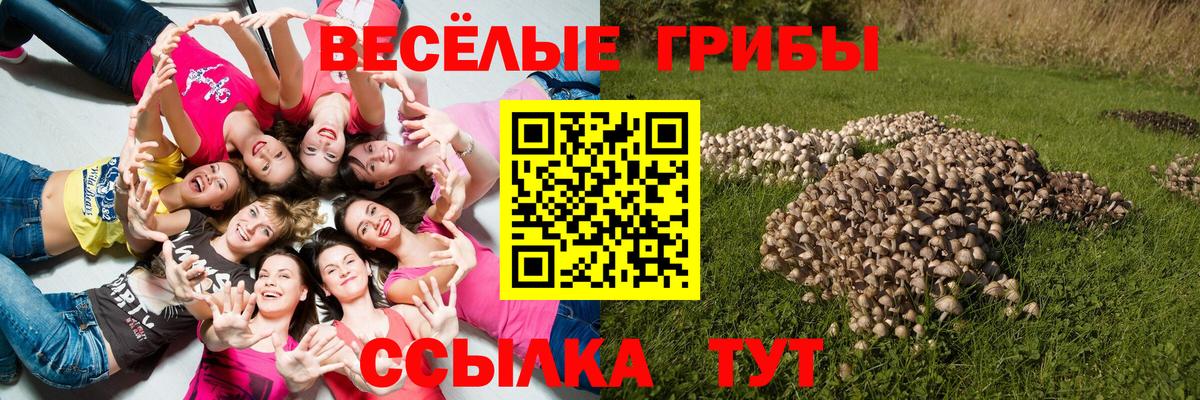 Галлюциногенные грибы ЛСД Реутов