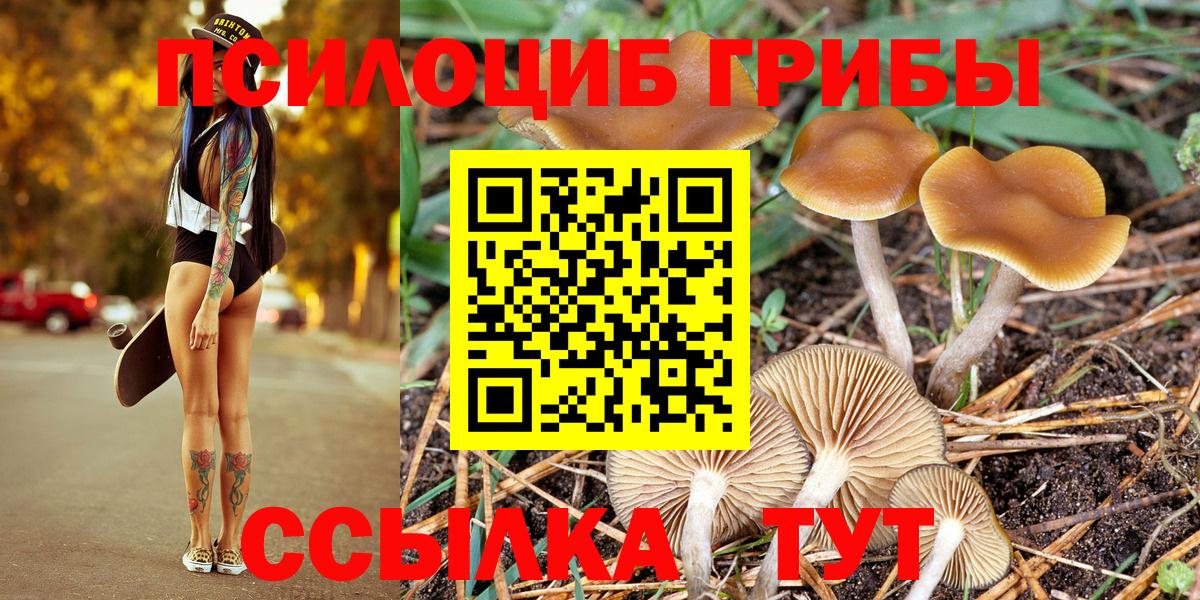 Галлюциногенные грибы Psilocybe  дарнет шоп  Реутов  Вход с VPN 