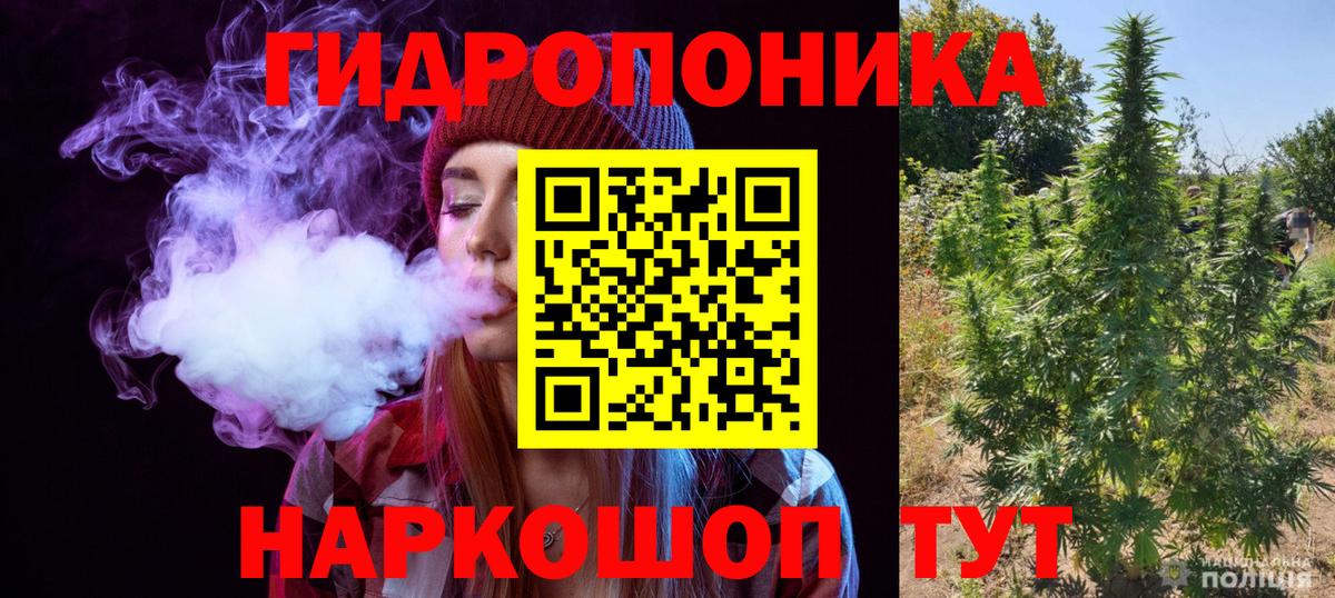 Марихуана OG Kush  Марихуана планчик  Реутов  Вход с VPN 